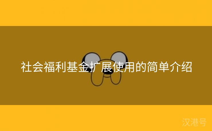 社会福利基金扩展使用的简单介绍