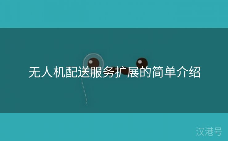 无人机配送服务扩展的简单介绍