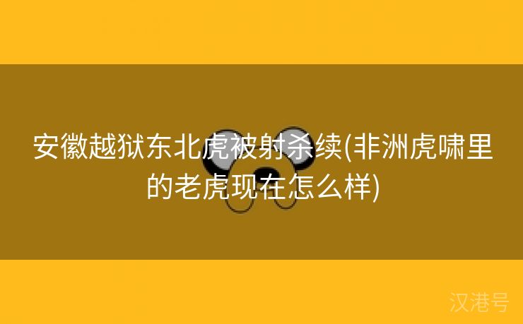 安徽越狱东北虎被射杀续(非洲虎啸里的老虎现在怎么样)