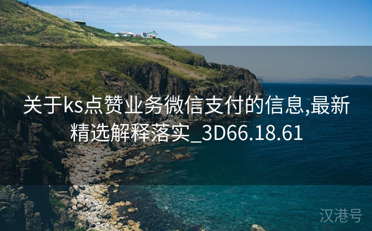 关于ks点赞业务微信支付的信息,最新精选解释落实_3D66.18.61