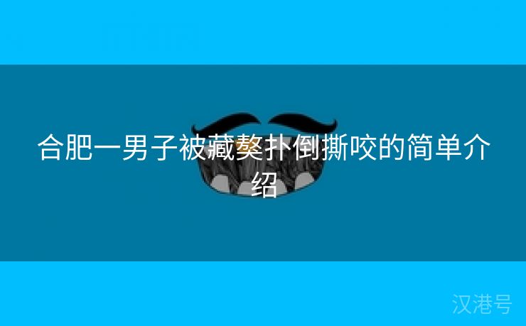 合肥一男子被藏獒扑倒撕咬的简单介绍