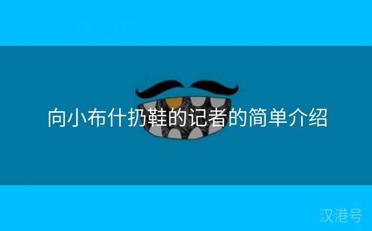 向小布什扔鞋的记者的简单介绍